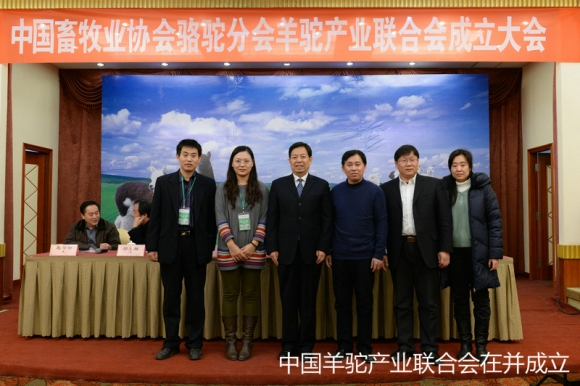 羊驼产业联合会成立的新闻